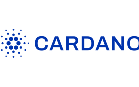 Cardano Pumps as Input Output Hands Off Core Infrastructure to Outside Teams