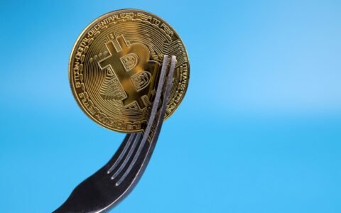 Bitcoin’s Anti-Spam Fork Split Off on Saturday and Stalled Within Hours
