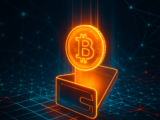 Fifty Bitcoin Bought for About $500 in 2011 Just Moved for the First Time