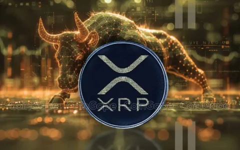 XRP Is Up 40% in a Week and It Cost Leveraged Traders Half a Billion Dollars