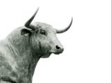 Crypto Sentiment Hits ‘Extreme Greed’ for the First Time Since the 2024 Top