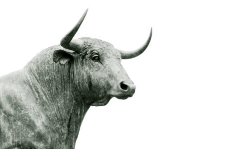 Crypto Sentiment Hits ‘Extreme Greed’ for the First Time Since the 2024 Top