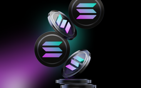 Solana Minted 263,000 Tokens in One Day, Only 40,360 via Launchpads
