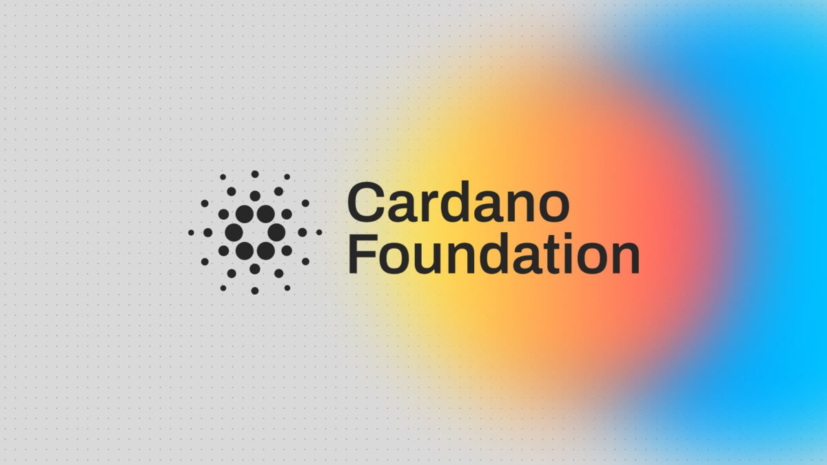 Cardano Anchors 500,000 Supply Chain Records for Brazilian Fashion Groups