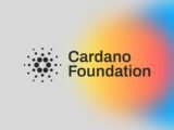 Cardano Anchors 500,000 Supply Chain Records for Brazilian Fashion Groups