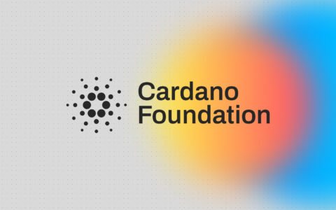 Cardano Anchors 500,000 Supply Chain Records for Brazilian Fashion Groups