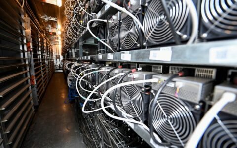 Mexican Navy Raids Hidden Crypto Farm and Seizes 300 GPUs in Puebla