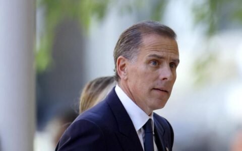 Hunter Biden’s LAPTOP Token Peaked at $190 on $48,000 of Liquidity