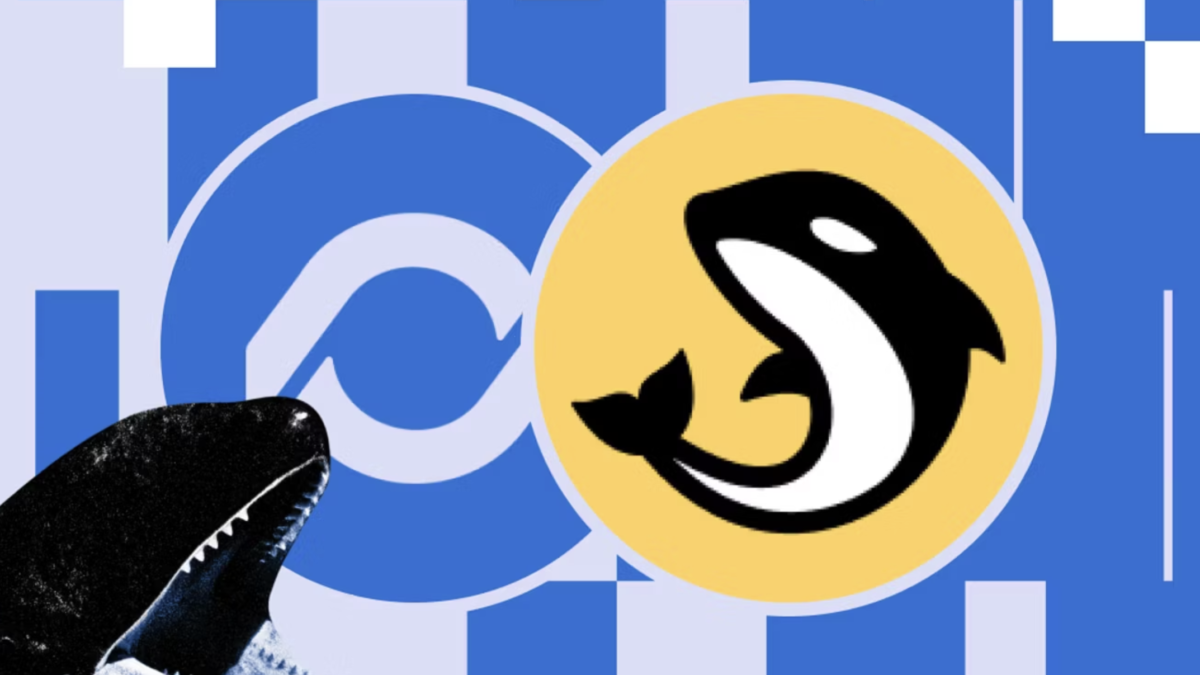 Orca and Loopscale Merge Into Formation, With ORCA as Its Token