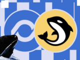 Orca and Loopscale Merge Into Formation, With ORCA as Its Token