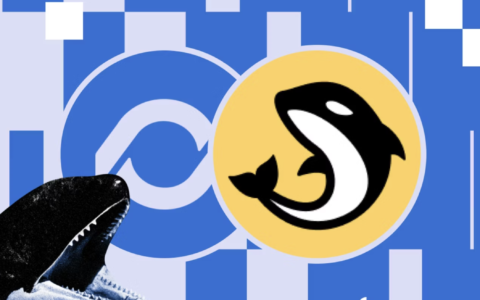 Orca and Loopscale Merge Into Formation, With ORCA as Its Token