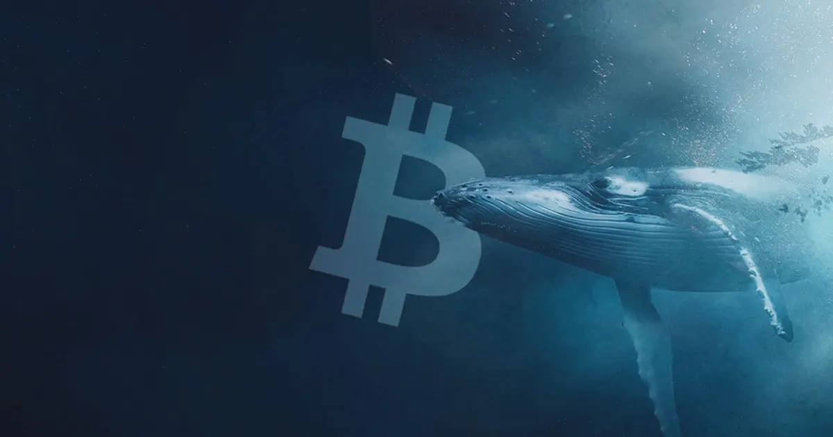 Bitcoin Whale Holding Since March 2020 Moves All $377M of BTC